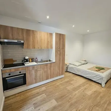 Le Studio Cyprien Apartment *